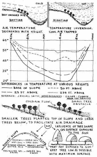 
Determining placement of a home orchard based on temperature fluctuations.
